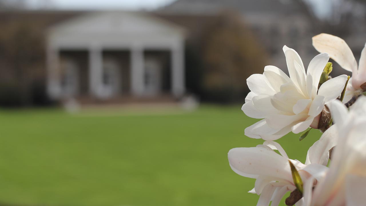 spring flowers blooming in front of the chapel