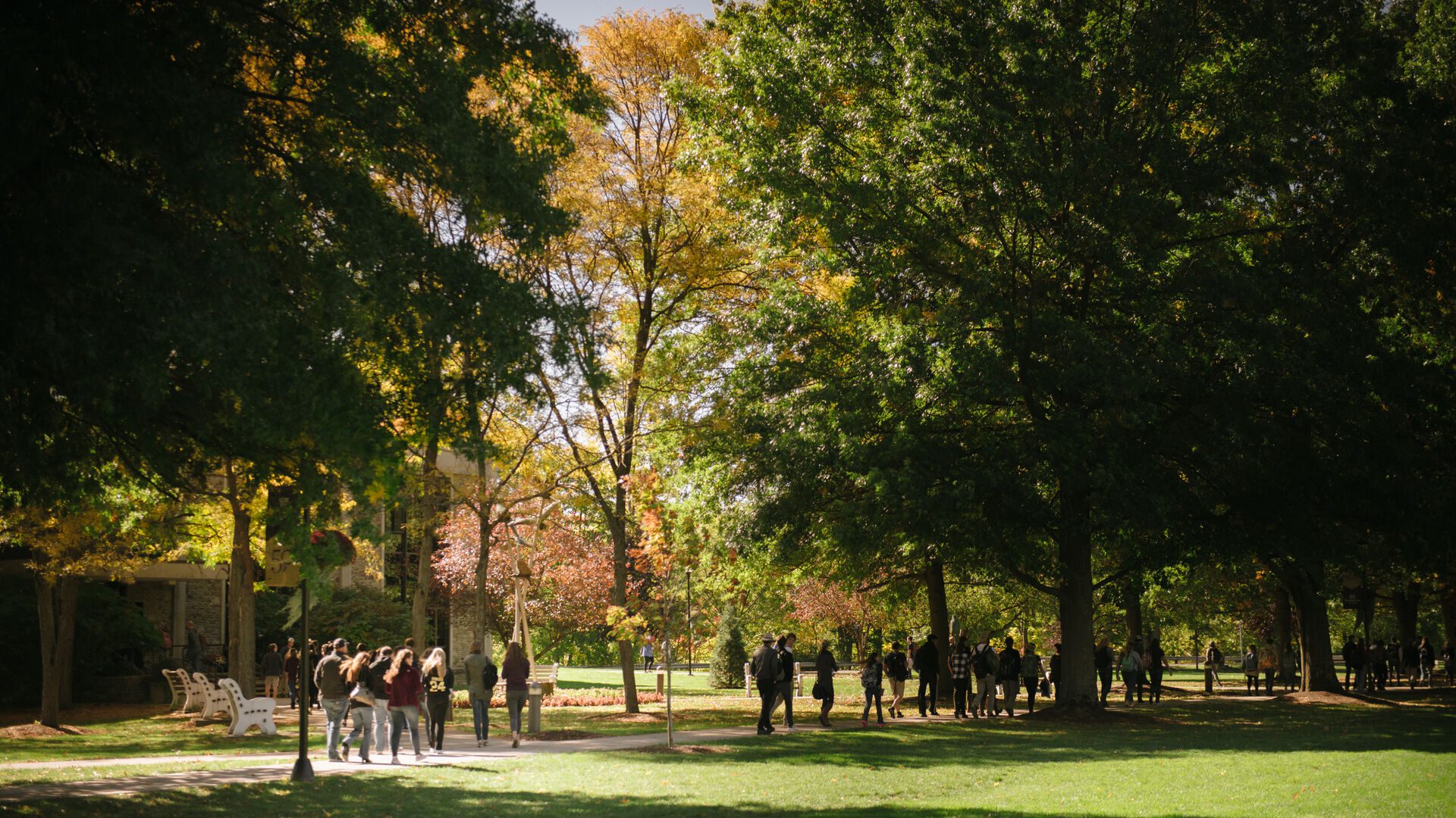 Houghton Universitystudents walking through campus during the fall.