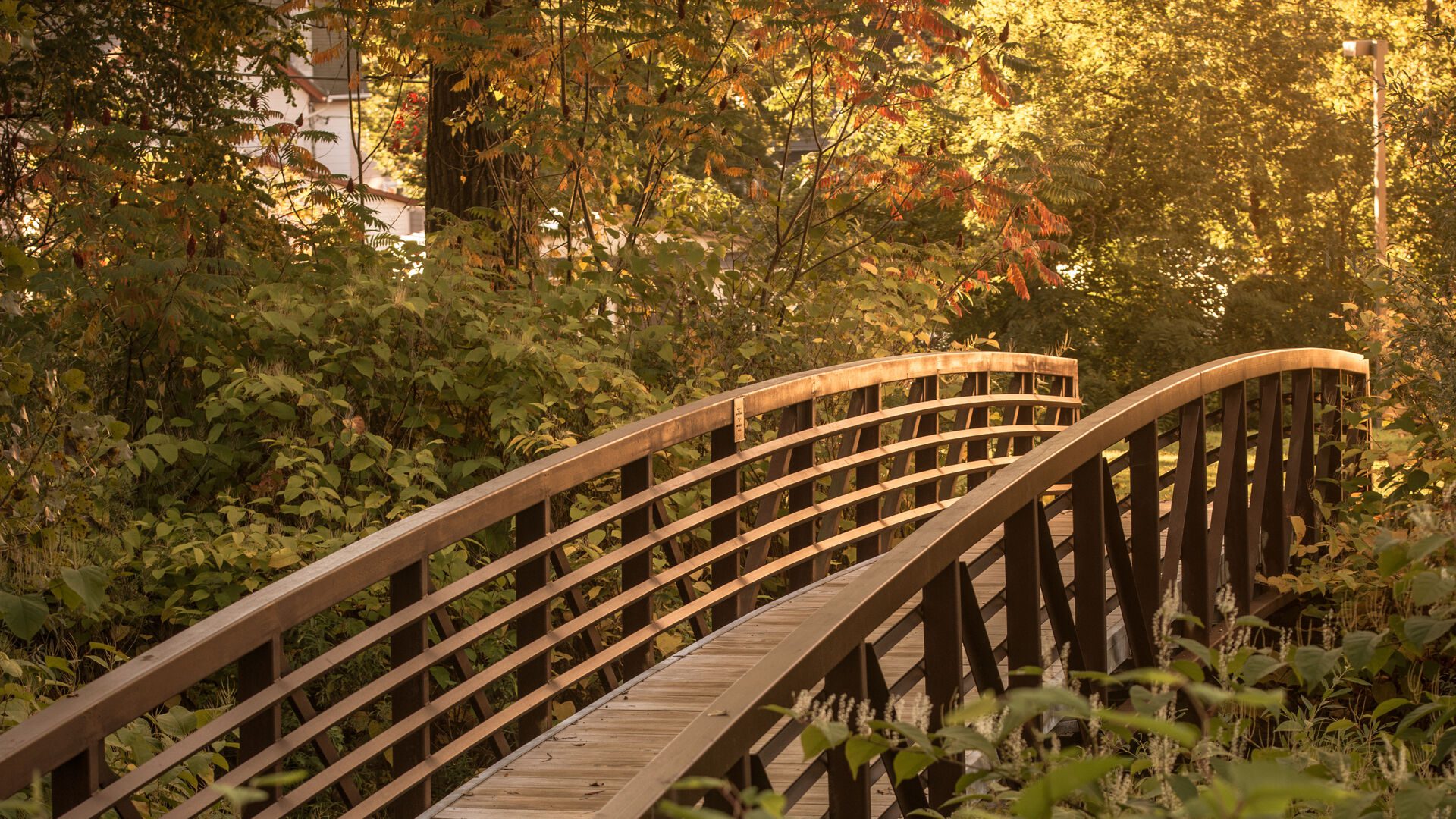 Empty wooden bridge on campus being lit with the sunset.