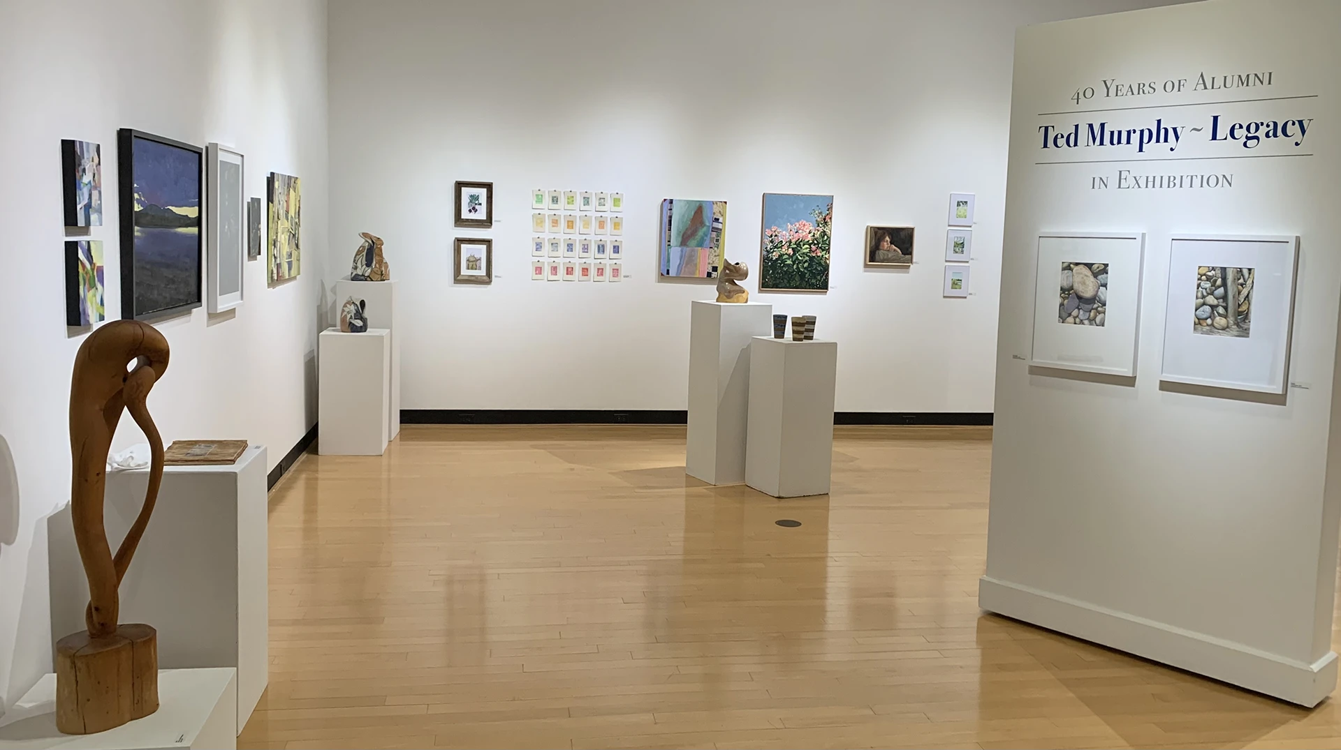 Gallery view of the Ted Murphy Exhibition at the Ortlip Gallery at ����ר��.