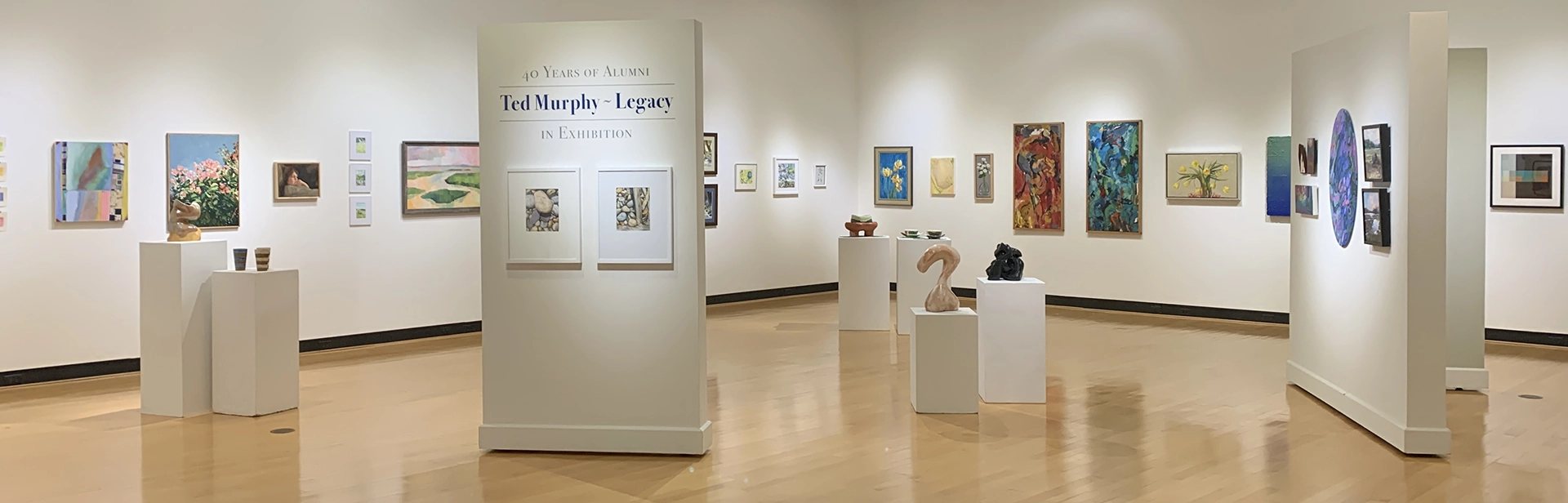 Panoramic view of the Ted Murphy Exhibition at the Ortlip Gallery at ����ר��.