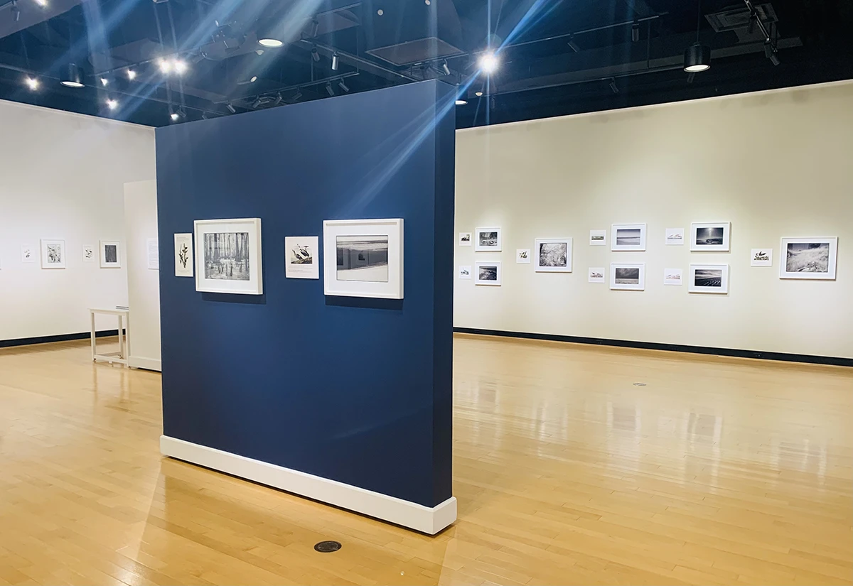 Exhibition view of Ian Campbell's After Birds in the ����ר�� Ortlip Gallery.