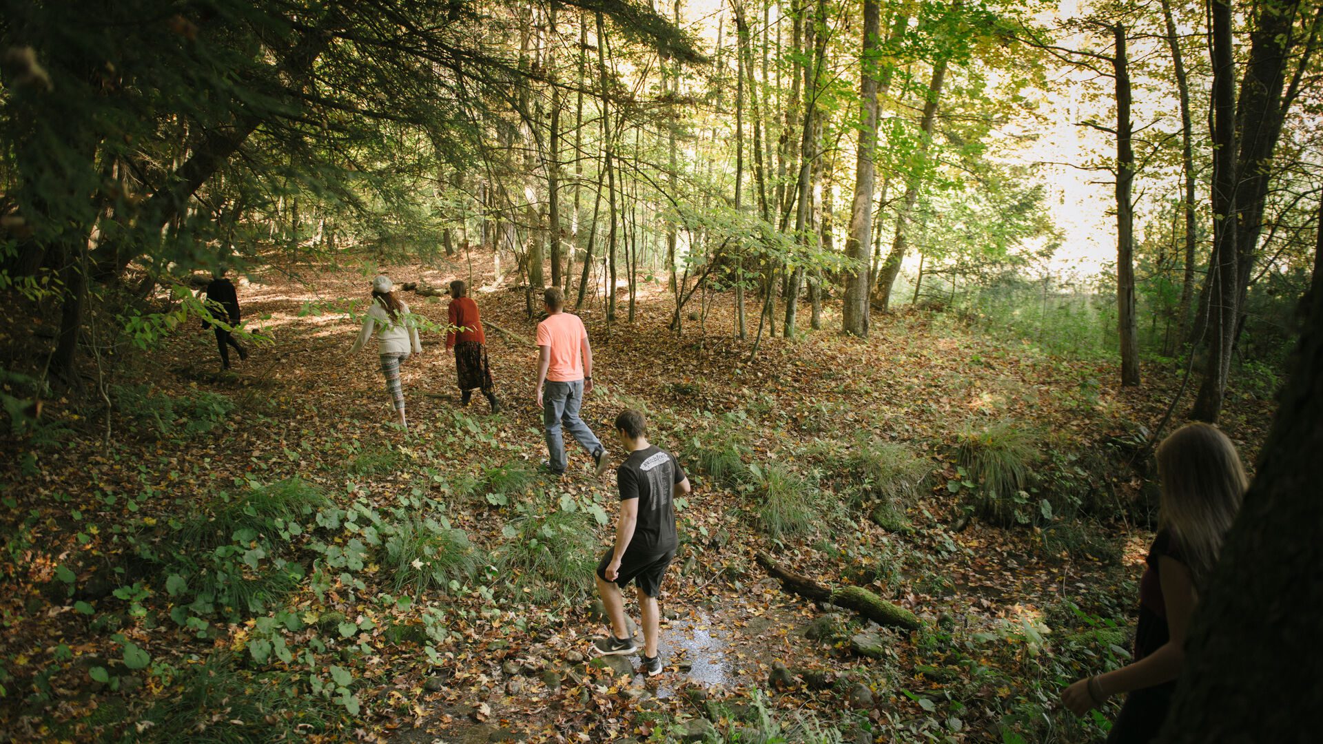 Houghton students hiking through forest.