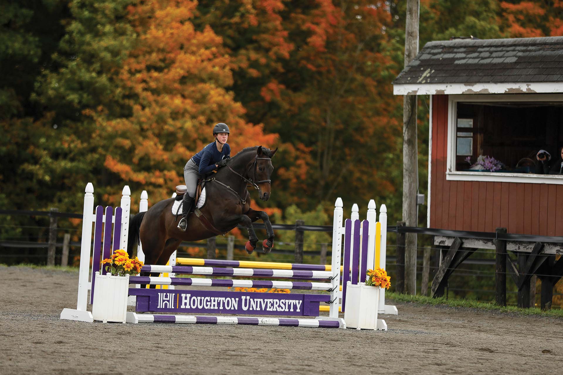 Houghton equestrian student riding her horse over a jump.
