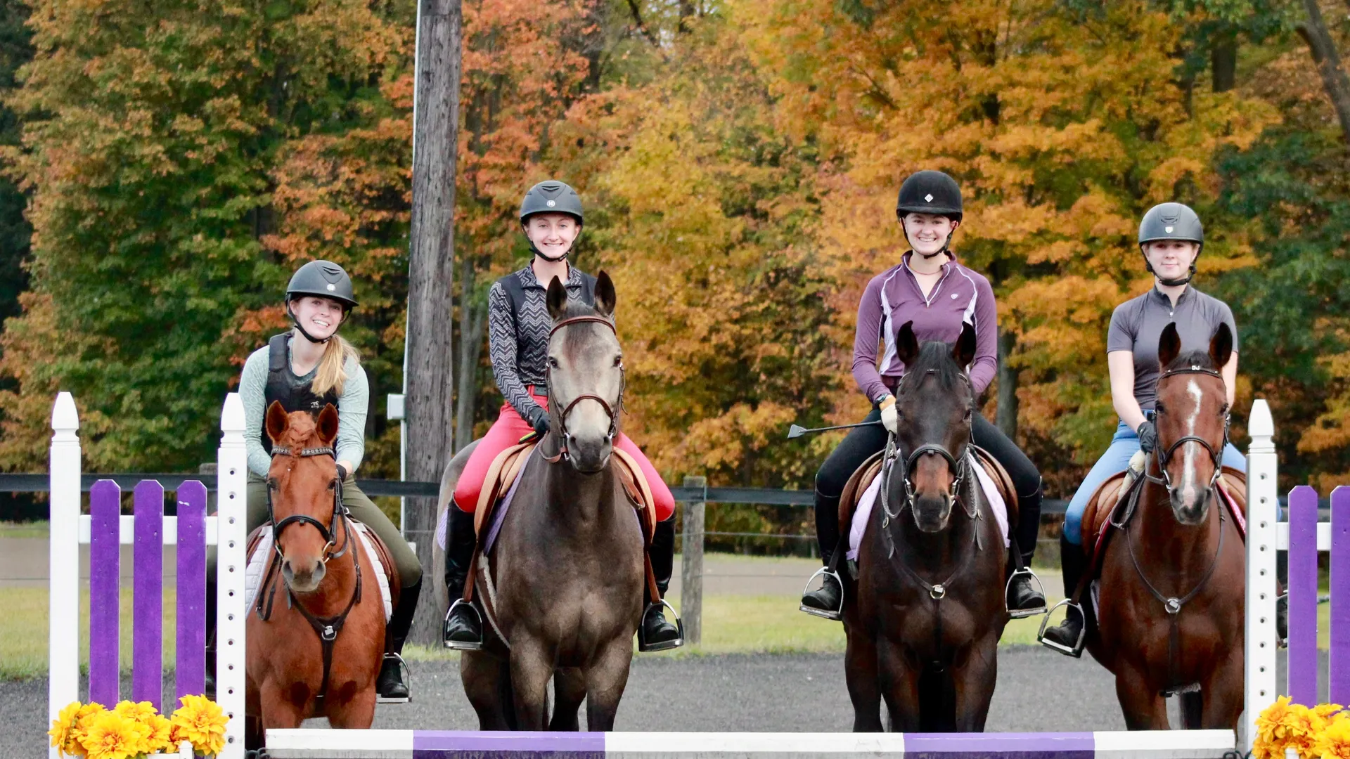 Four Houghton equestrian studies students sitting on their horses in outdoor arena.