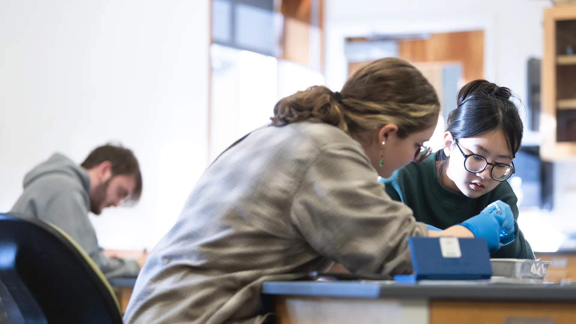 Two Houghton biology students working together in lab.