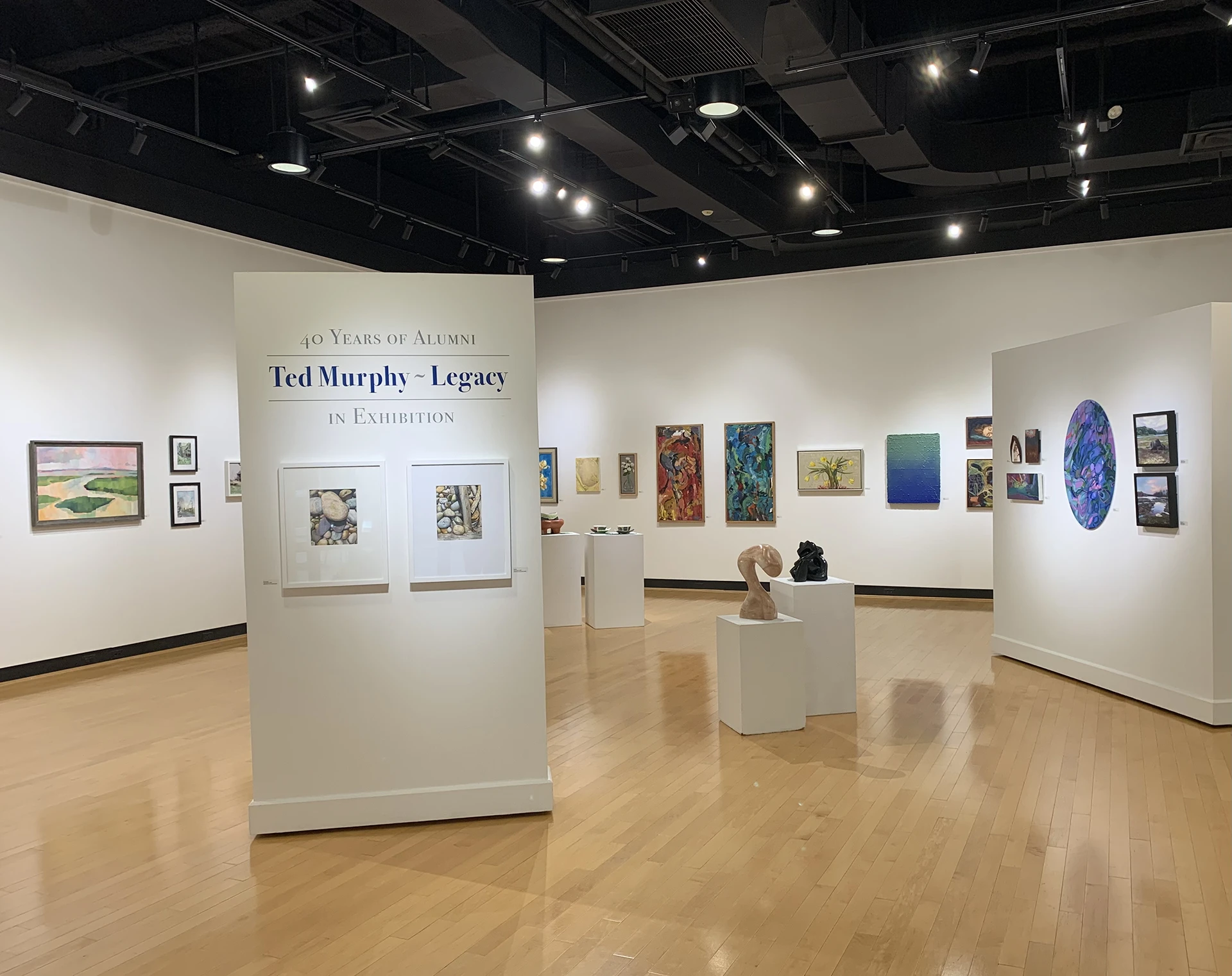 Gallery view of the Ted Murphy Exhibition at the Ortlip Gallery at ���Ͽ�.