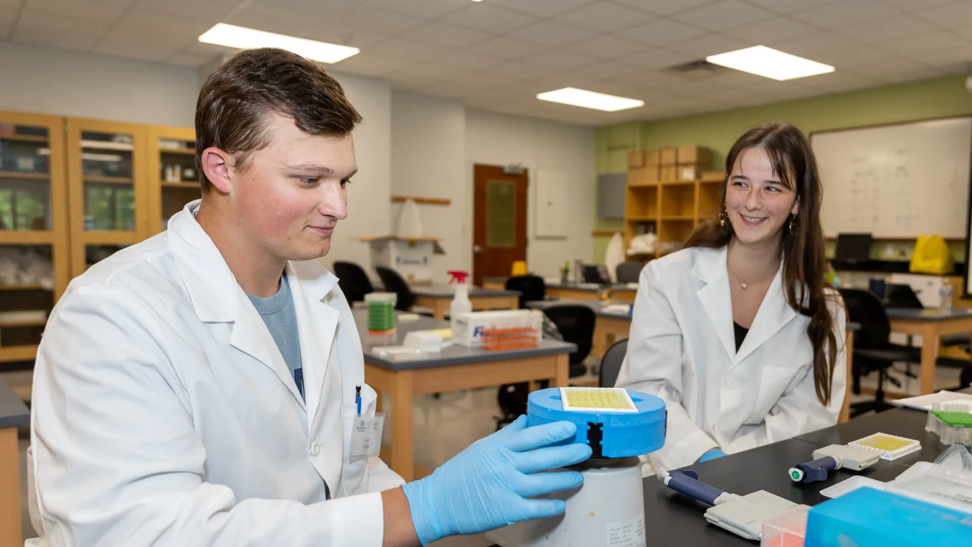 Biology students in the lab working on a project.