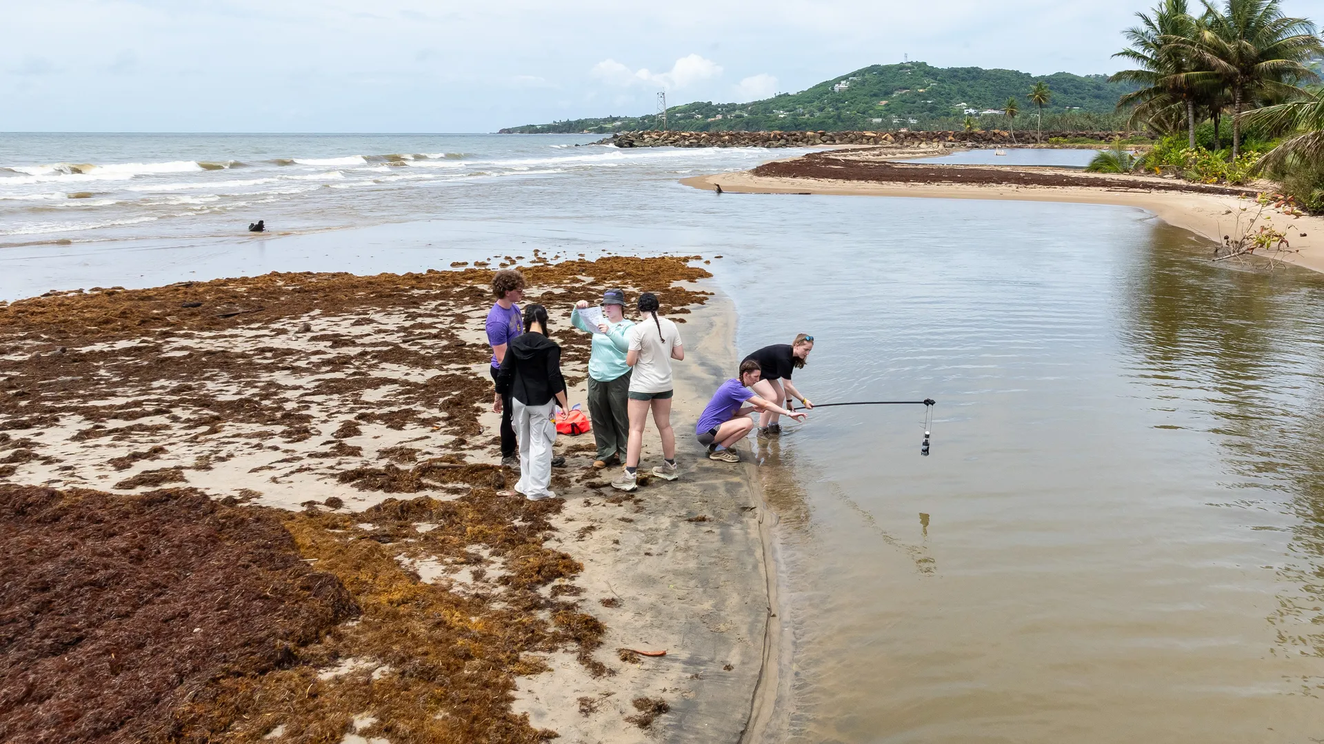 Honors students on a beach doing fishing